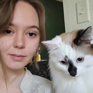 Meet your Posher, Bailey